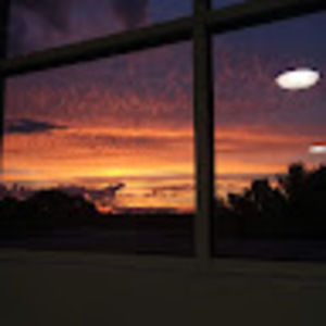 Meet your Posher, Lilli